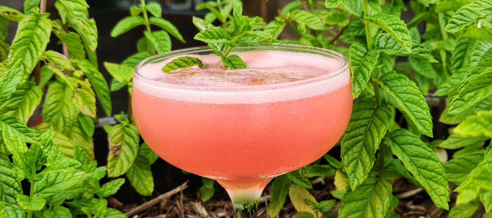 LAKE COUNTY LIBATION TRAIL MONTH